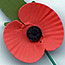 poppy