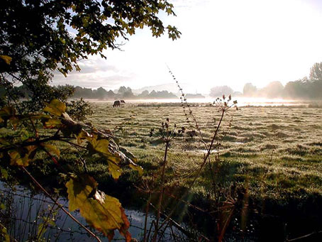 The Lammas Lands, Godalming Copyright &copy; 2002 Peter Tietjen