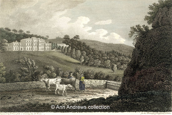 WILLERSLEY CASTLE Seat of Richard Arkwright Esq. Engraved by J. Storer from a drawing by H. Moore