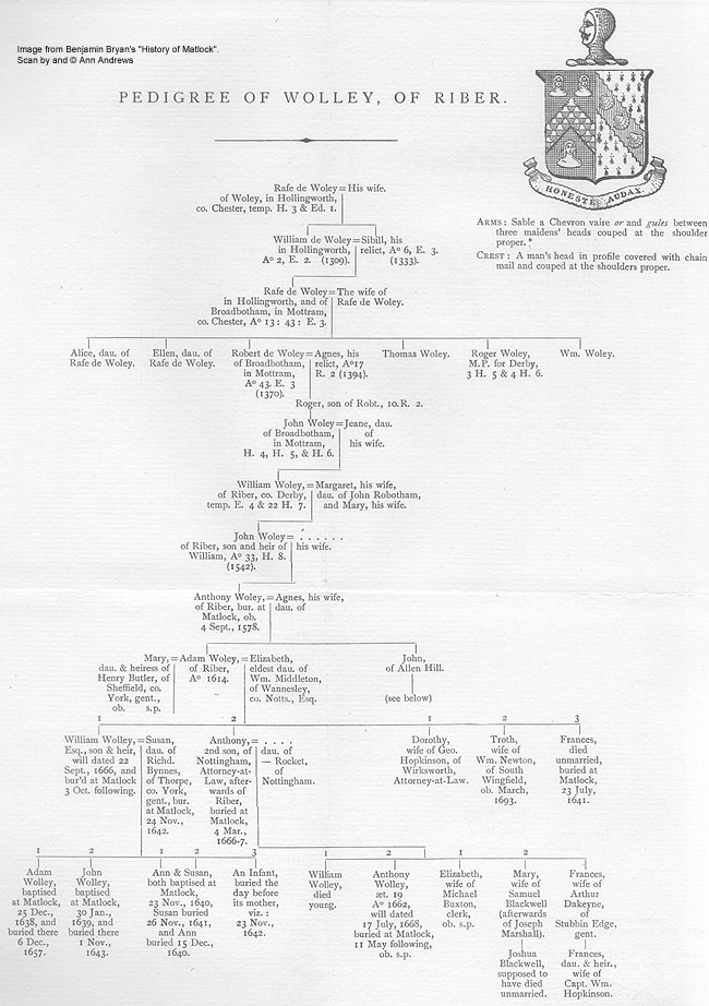Pedigree of Wolley of Riber
Scan  Ann Andrews