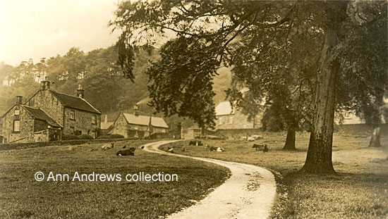 Lea Hurst Park