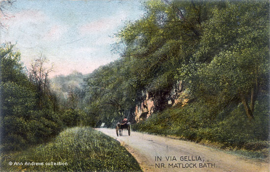 Horse and trap in Via Gellia