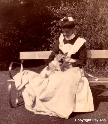 3. Florence Johnson and "Rags", photographed at The Gables by Mrs. Robert Wildgoose. Image Scan &copy; Ray Ash