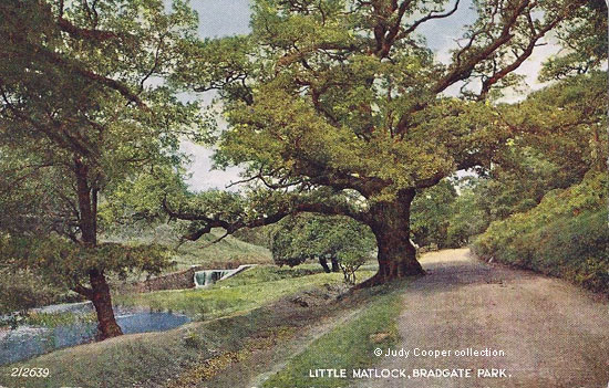 Bradgate Park 1