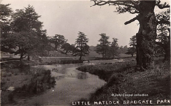 Bradgate Park 2