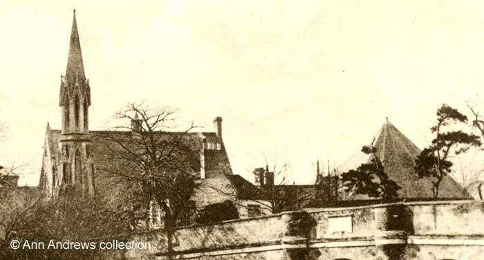 enlargement of top image